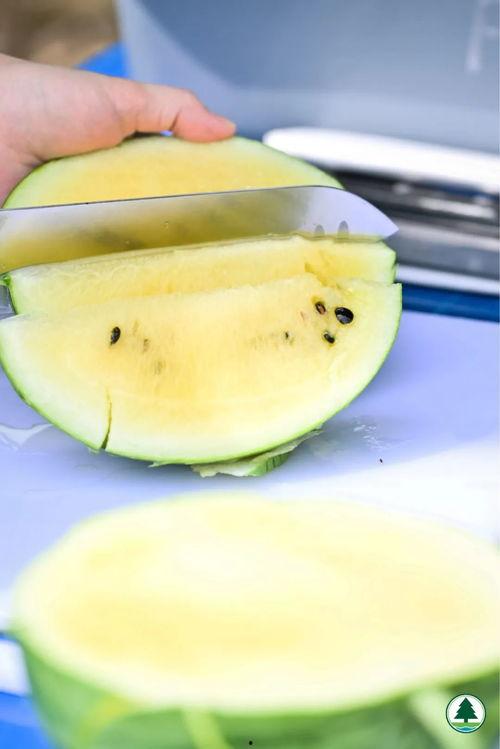 吃瓜超有料香港,独家料事，一网打尽  第2张