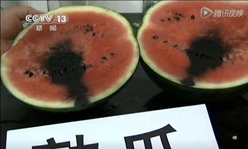 正宗吃瓜视频  第2张