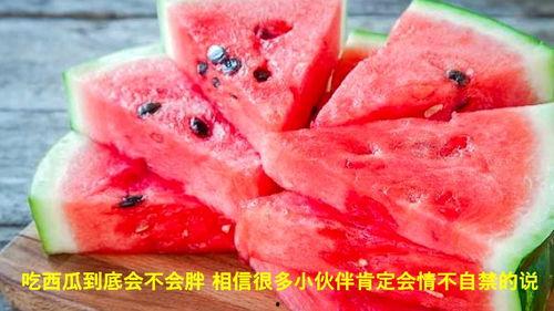 正宗吃瓜视频  第3张