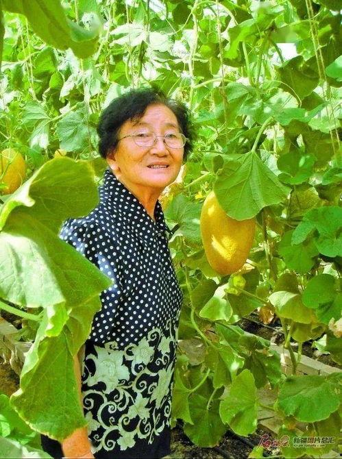 王玉吃瓜,揭秘娱乐圈背后的那些事儿