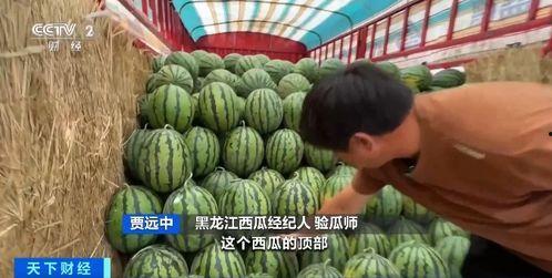 瓜哥吃瓜最最奇葩的蘑菇  第2张