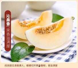 吃金蜜瓜  第2张