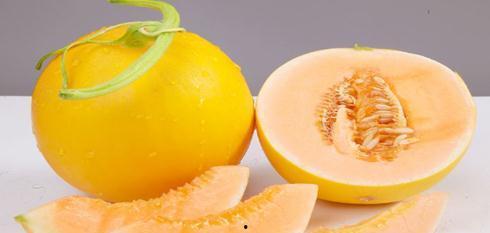 吃金蜜瓜  第3张