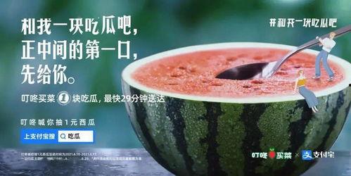 厦门酒吧吃瓜事件,一场意外引发的舆论风波