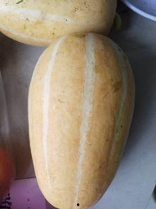 什么是炒菜吃的瓜,瓜类食材的多样美味
