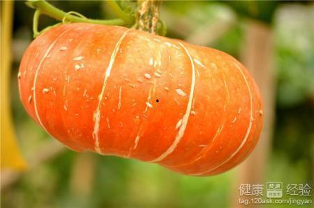 瓢虫瓜怎么吃最营养,解锁最佳营养吸收之道