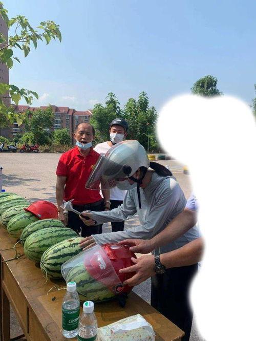 岛城最新吃瓜事件,最新“瓜王”事件揭秘，真相令人咋舌！