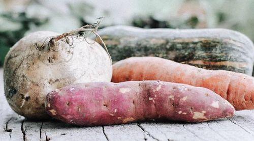 瓜菜代食吃树皮,瓜菜代食下的生存智慧