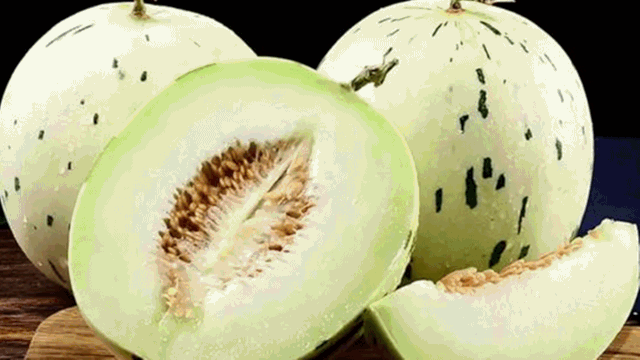 吃广东蜜瓜,夏日清新滋味之旅