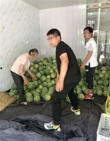 常州跳舞吃瓜事件,网络狂欢背后的社会现象解析