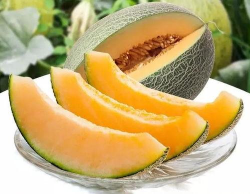 瓜州吃瓜事件,一场引发热议的网络狂欢