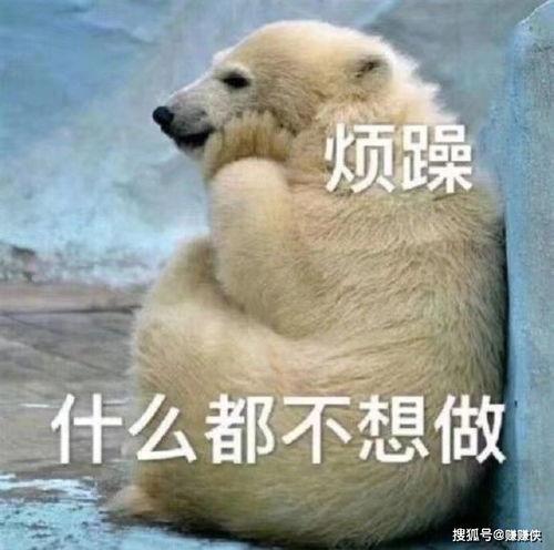 吃瓜群众早安图,趣味横生的早晨开启方式