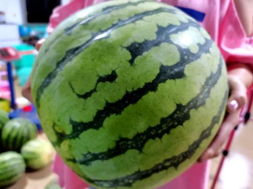 农行吃瓜,揭秘金融圈内的“瓜田”风云