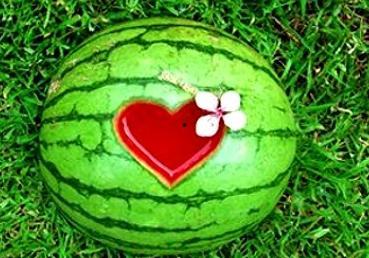 梦见吃瓜的人,揭秘吃瓜背后的寓意与启示