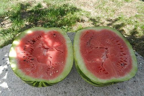 梦见吃瓜燥热,吃瓜燥热背后的神秘启示