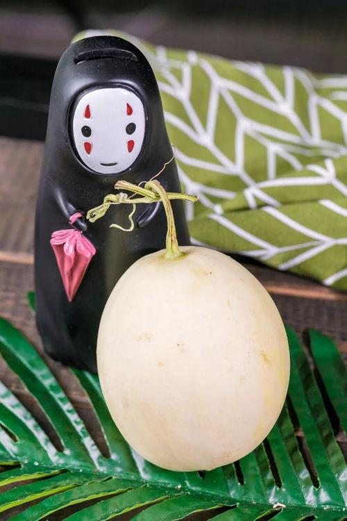 爱心吃瓜全集,一场甜蜜的瓜界盛宴