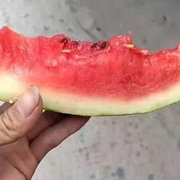 边哭边吃瓜,边哭边吃的独特情感体验