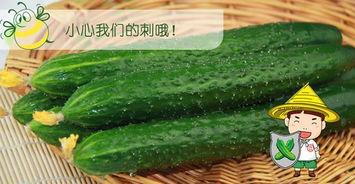 吃瓜九六,网络红人的崛起与影响