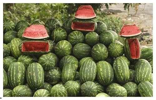 路边免费吃瓜,夏日炎炎解暑新风尚