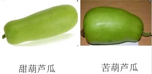 淄博吃瓜群,揭秘网络社交圈的趣味与争议