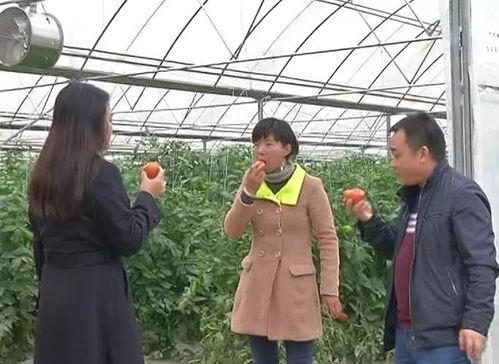 吃瓜群众围观哈基米吃瓜,围观群众热议不断