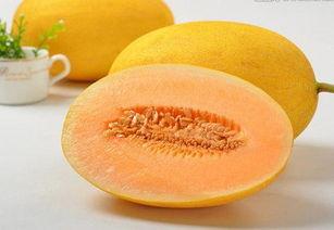 寒气重吃哈密瓜