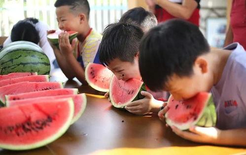 夏童吃瓜