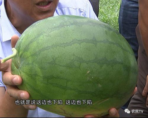 吃瓜黑博士,揭秘娱乐圈背后的真相与内幕