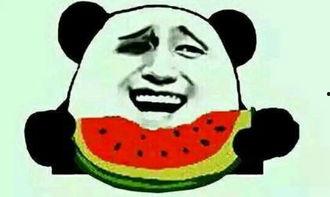 吃瓜群众泥石流,揭秘网络舆论场的风云变幻