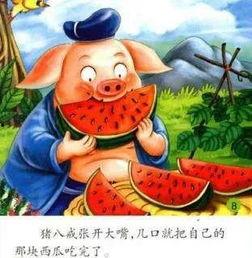 吃瓜群众保护狗头,吃瓜群众助力宠物权益保护