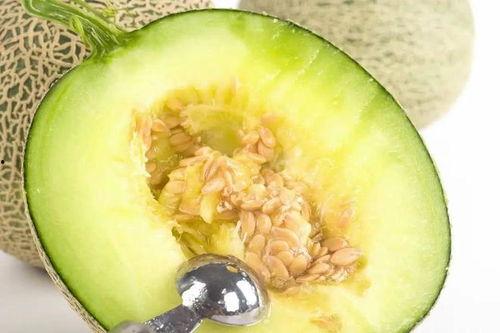 甜绵瓜怎么吃,解锁美味新体验