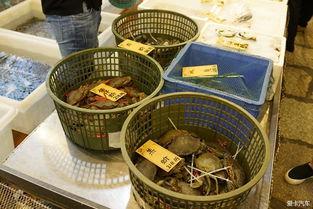 顺德吃瓜视频,揭秘地道美食背后的趣味故事