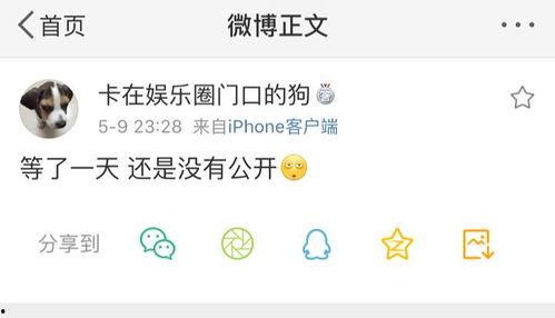 爆料吃瓜网站有哪些,盘点那些让你欲罢不能的爆料平台