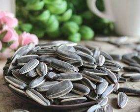 吃瓜只吃瓜子,揭秘“吃瓜只吃瓜子”的流行风尚