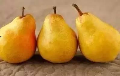 蜜秋瓜怎么吃,解锁美味新体验