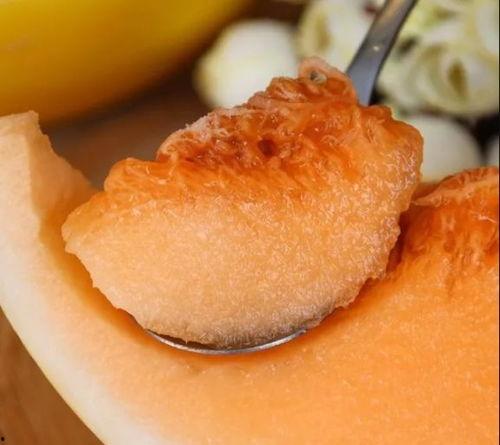 红金蜜瓜怎么吃,尽享夏日甜蜜滋味