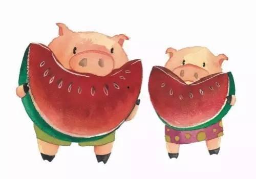 梦到猪吃瓜,猪儿吃瓜的奇幻之旅