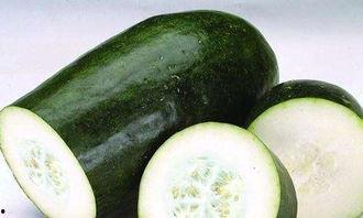 年代吃瓜日常,年代吃瓜日常全景回顾