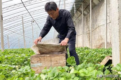 棚哥吃瓜,揭秘娱乐圈那些不为人知的幕后故事