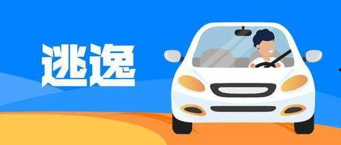 网约司机吃瓜情侣,引发一场温馨的误会