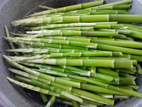 吃完竹笋可以吃小瓜吗,探索竹笋与小瓜的搭配之道