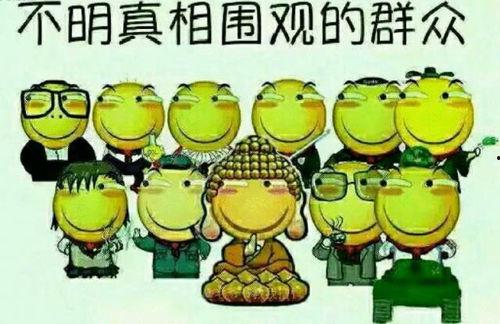 吃瓜群众1254号,一场网络热议背后的故事