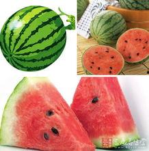 吃瓜得传染病 第3张 吃瓜得传染病 第3张