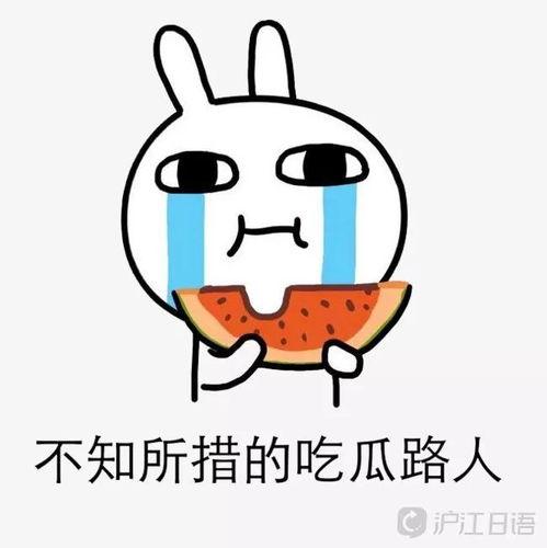 吃瓜费加入,网络热议背后的真相与反思 第1张 吃瓜费加入,网络热议背后的真相与反思 第1张