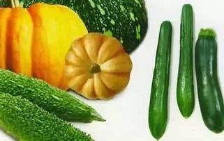 里恩 吃瓜,揭秘娱乐圈的“吃瓜群众”  第2张