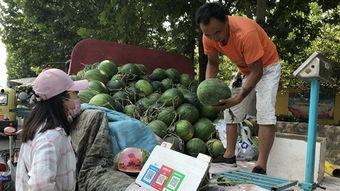 济宁吃瓜光线传媒,吃瓜群众视角下的光线传媒探秘