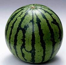 吃瓜素材图,图说人间百态 第2张 吃瓜素材图,图说人间百态 第2张