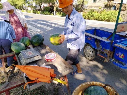 台湾地震吃瓜群众