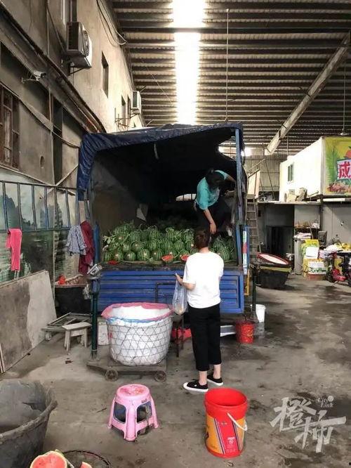 台湾地震吃瓜群众