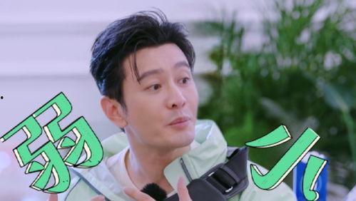 职场综艺吃瓜,揭秘明星背后的职场“吃瓜”故事